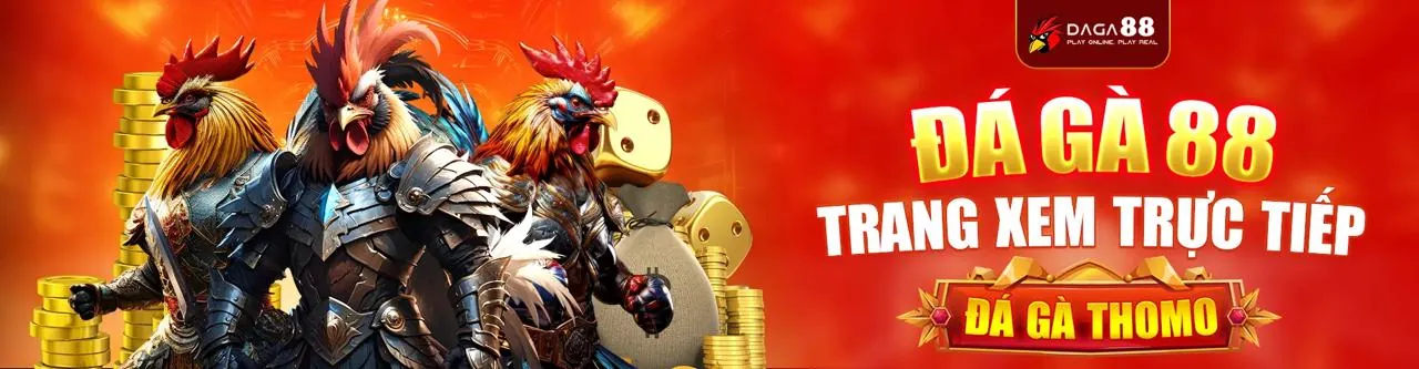 Đá Gà Trực Tuyến Hấp Dẫn tại fly88 login